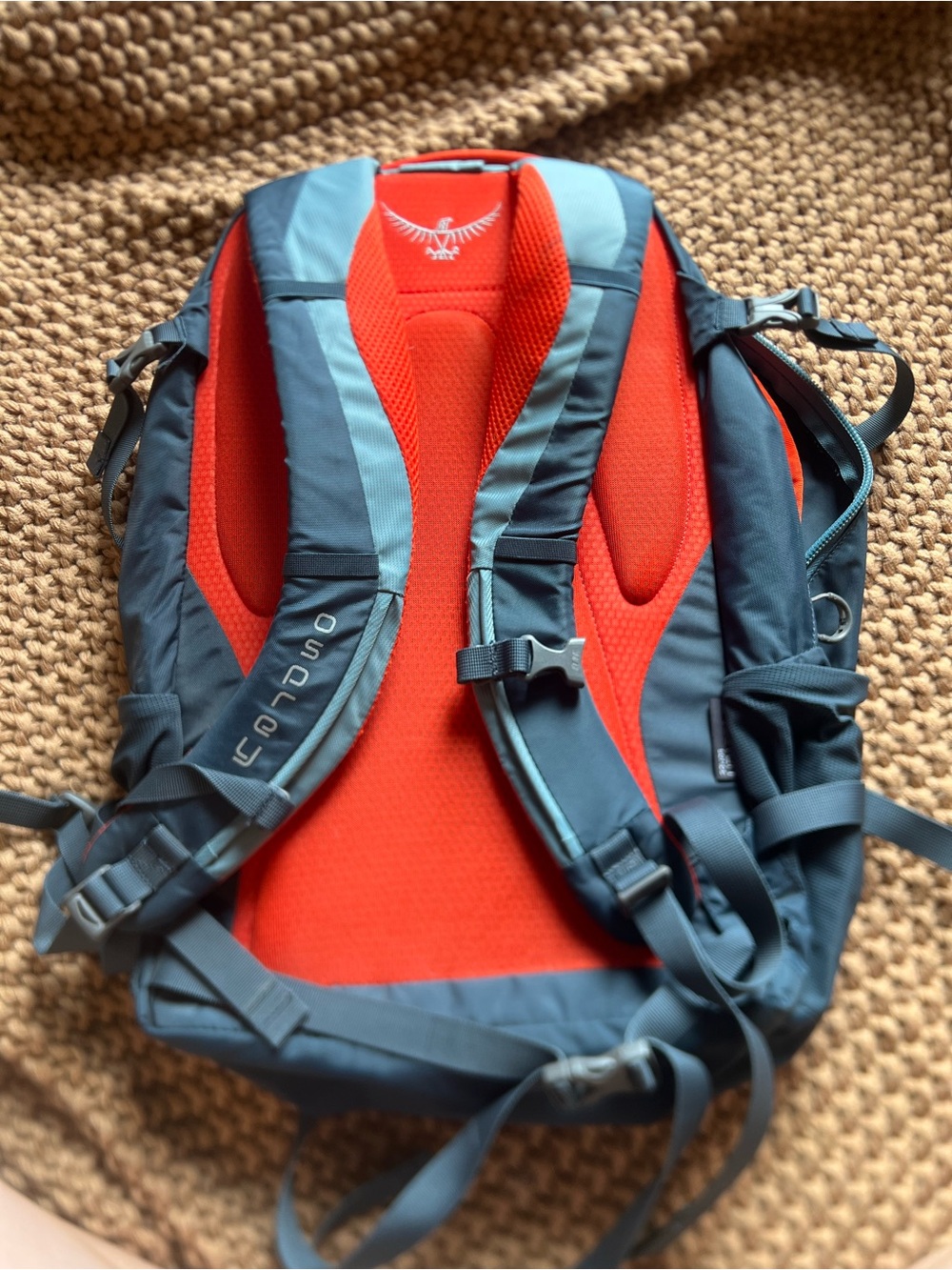 Osprey Pandion Backpack - Picture 4 of 7